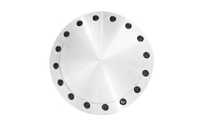 Stainless Steel Blind Flange